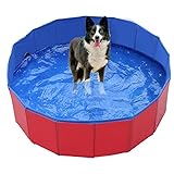 Hundepool, Hundeschwimmbecken für Große & Kleine Hunde