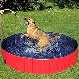 lionto Faltbarer Hundepool Schwimmbecken für Hunde Hundebad, Kinderpool (L) 160cm, Höhe 30 cm