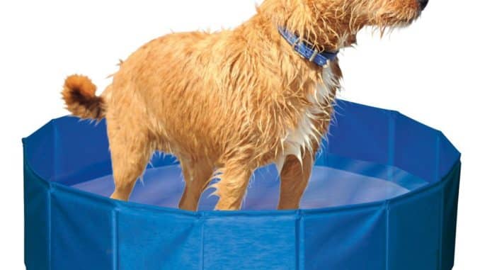 Kerbl Hundepool Kerbl Hundepool